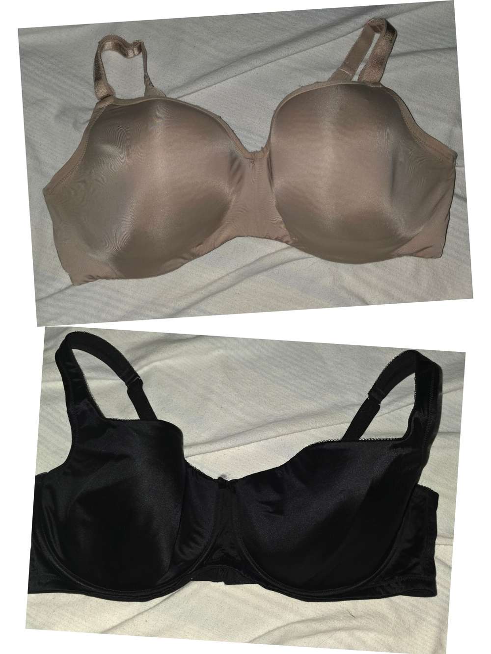 torrid balconette Nude and Black 40DDD
